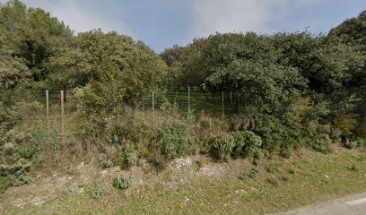 Lemurien