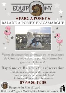 Parc à poney Equipony