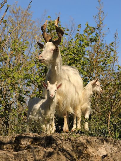 Parc Le Theil