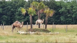 Parc Animalier Domaine de Revert