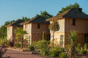 Africa Lodges