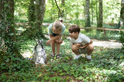 La Vallée Des Singes