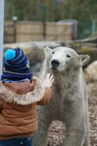 Zoo de Cerza