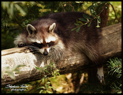 Animal Park Ecouves