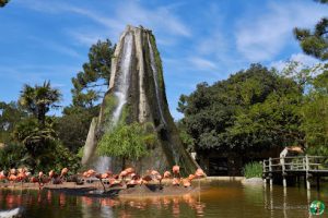 Zoo La Palmyre