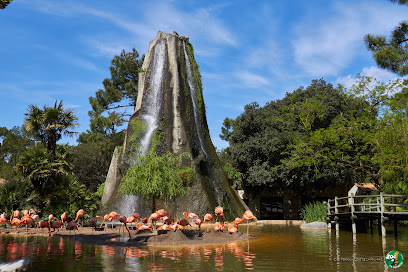 Zoo La Palmyre