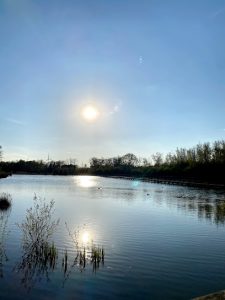 Dierenweide Bovy