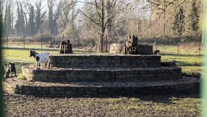 Dierenweide